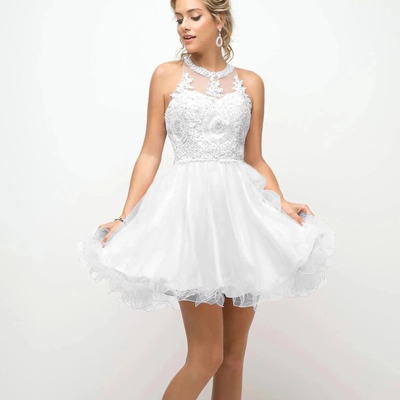 White Lace Applique Cocktail Dress - Cinderella Divine - Picture 1 of 16